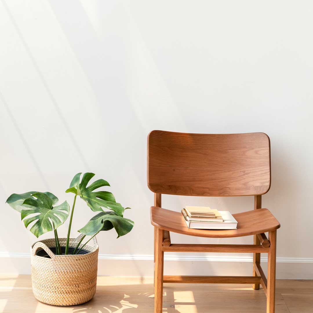 classic-wooden-chair-by-a-monstera-plant-2021-12-09-21-03-24-utc.jpg